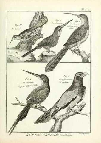 Reproducción/Reproduction 7850797042: Tableau encyclopédique et méthodique des trois règnes de la nature.. A Paris :Chez Mme. veuve Agasse ...,1823.
