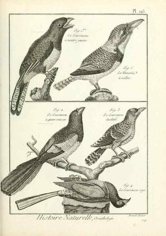 Reproducción/Reproduction 7850798350: Tableau encyclopédique et méthodique des trois règnes de la nature.. A Paris :Chez Mme. veuve Agasse ...,1823.