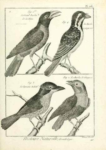 Reproducción/Reproduction 7850799576: Tableau encyclopédique et méthodique des trois règnes de la nature.. A Paris :Chez Mme. veuve Agasse ...,1823.