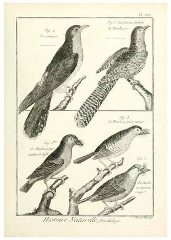Reproducción/Reproduction 7850800808: Tableau encyclopédique et méthodique des trois règnes de la nature.. A Paris :Chez Mme. veuve Agasse ...,1823.