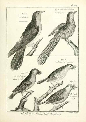 Reproducción/Reproduction 7850800808: Tableau encyclopédique et méthodique des trois règnes de la nature.. A Paris :Chez Mme. veuve Agasse ...,1823.
