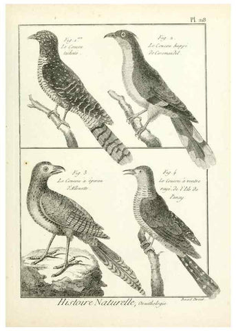 Reproducción/Reproduction 7850802074: Tableau encyclopédique et méthodique des trois règnes de la nature.. A Paris :Chez Mme. veuve Agasse ...,1823.