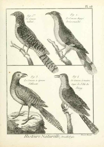 Reproducción/Reproduction 7850802074: Tableau encyclopédique et méthodique des trois règnes de la nature.. A Paris :Chez Mme. veuve Agasse ...,1823.