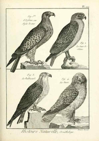 Reproducción/Reproduction 7850781438: Tableau encyclopédique et méthodique des trois règnes de la nature.. A Paris :Chez Mme. veuve Agasse ...,1823.
