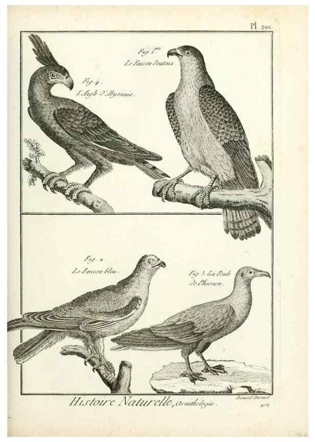 Reproducción/Reproduction 7850779728: Tableau encyclopédique et méthodique des trois règnes de la nature.. A Paris :Chez Mme. veuve Agasse ...,1823.