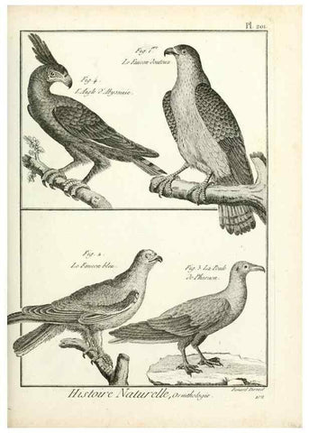 Reproducción/Reproduction 7850779728: Tableau encyclopédique et méthodique des trois règnes de la nature.. A Paris :Chez Mme. veuve Agasse ...,1823.