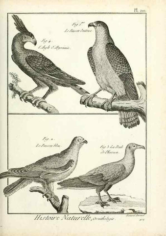 Reproducción/Reproduction 7850779728: Tableau encyclopédique et méthodique des trois règnes de la nature.. A Paris :Chez Mme. veuve Agasse ...,1823.
