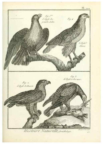 Reproducción/Reproduction 7850778484: Tableau encyclopédique et méthodique des trois règnes de la nature.. A Paris :Chez Mme. veuve Agasse ...,1823.