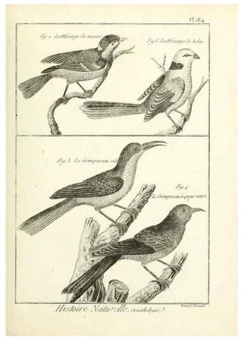 Reproducción/Reproduction 7850757408: Tableau encyclopédique et méthodique des trois règnes de la nature.. A Paris :Chez Mme. veuve Agasse ...,1823.