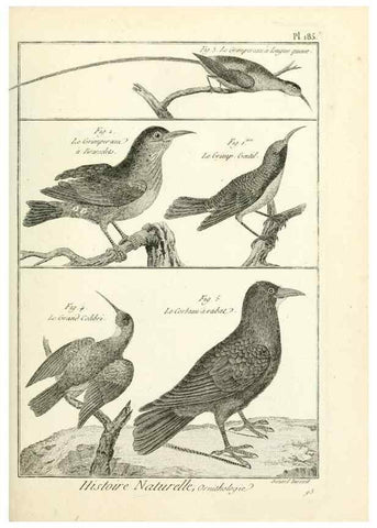 Reproducción/Reproduction 7850758698: Tableau encyclopédique et méthodique des trois règnes de la nature.. A Paris :Chez Mme. veuve Agasse ...,1823.