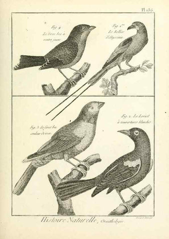 Reproducción/Reproduction 7850760096: Tableau encyclopédique et méthodique des trois règnes de la nature.. A Paris :Chez Mme. veuve Agasse ...,1823.