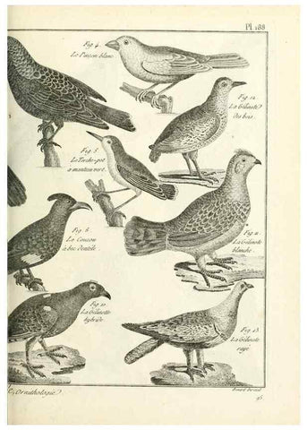 Reproducción/Reproduction 7850763220: Tableau encyclopédique et méthodique des trois règnes de la nature.. A Paris :Chez Mme. veuve Agasse ...,1823.