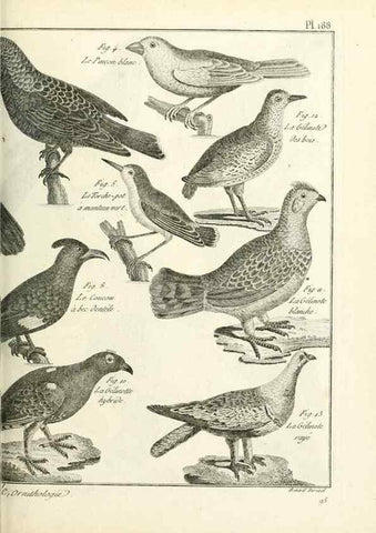 Reproducción/Reproduction 7850763220: Tableau encyclopédique et méthodique des trois règnes de la nature.. A Paris :Chez Mme. veuve Agasse ...,1823.