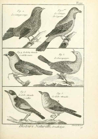 Reproducción/Reproduction 7850765830: Tableau encyclopédique et méthodique des trois règnes de la nature.. A Paris :Chez Mme. veuve Agasse ...,1823.