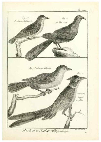 Reproducción/Reproduction 7850803500: Tableau encyclopédique et méthodique des trois règnes de la nature.. A Paris :Chez Mme. veuve Agasse ...,1823.