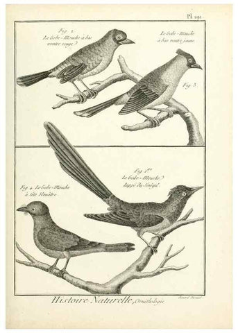 Reproducción/Reproduction 7850767014: Tableau encyclopédique et méthodique des trois règnes de la nature.. A Paris :Chez Mme. veuve Agasse ...,1823.