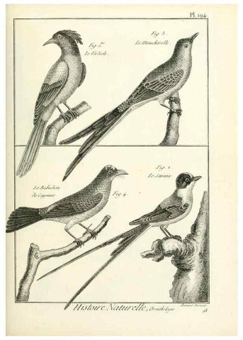 Reproducción/Reproduction 7850770698: Tableau encyclopédique et méthodique des trois règnes de la nature.. A Paris :Chez Mme. veuve Agasse ...,1823.