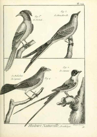Reproducción/Reproduction 7850770698: Tableau encyclopédique et méthodique des trois règnes de la nature.. A Paris :Chez Mme. veuve Agasse ...,1823.