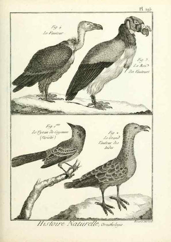 Reproducción/Reproduction 7850771998: Tableau encyclopédique et méthodique des trois règnes de la nature.. A Paris :Chez Mme. veuve Agasse ...,1823.