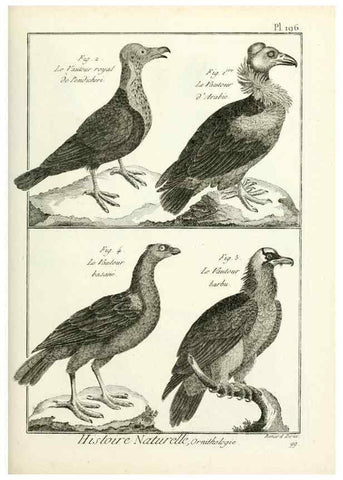Reproducción/Reproduction 7850773372: Tableau encyclopédique et méthodique des trois règnes de la nature.. A Paris :Chez Mme. veuve Agasse ...,1823.