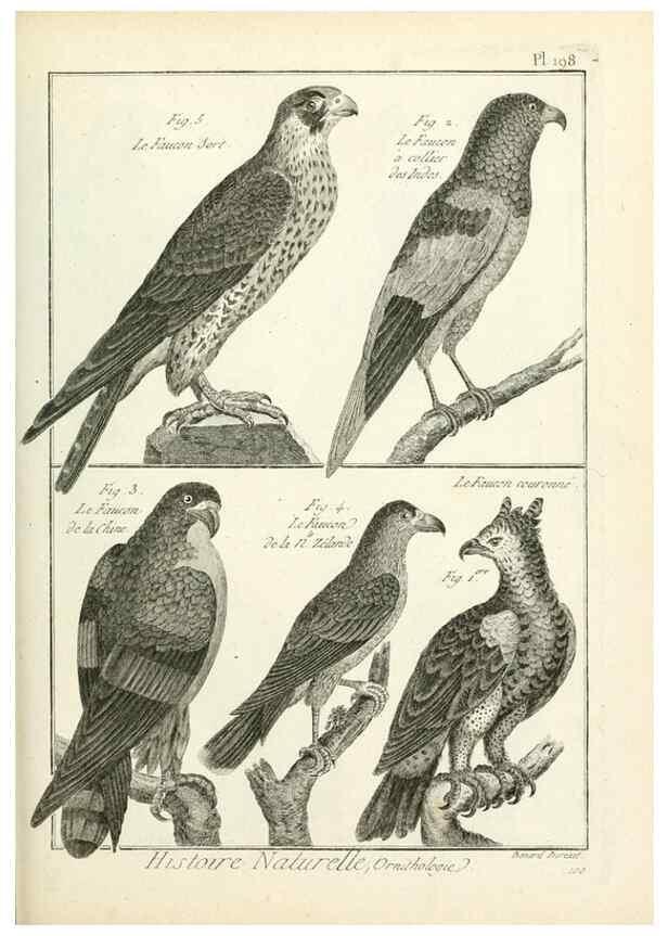 Reproducción/Reproduction 7850776026: Tableau encyclopédique et méthodique des trois règnes de la nature.. A Paris :Chez Mme. veuve Agasse ...,1823.