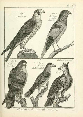 Reproducción/Reproduction 7850776026: Tableau encyclopédique et méthodique des trois règnes de la nature.. A Paris :Chez Mme. veuve Agasse ...,1823.