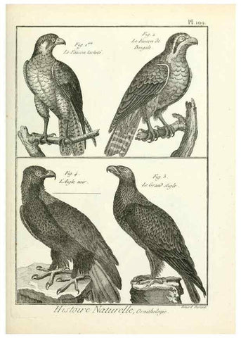 Reproducción/Reproduction 7850777370: Tableau encyclopédique et méthodique des trois règnes de la nature.. A Paris :Chez Mme. veuve Agasse ...,1823.