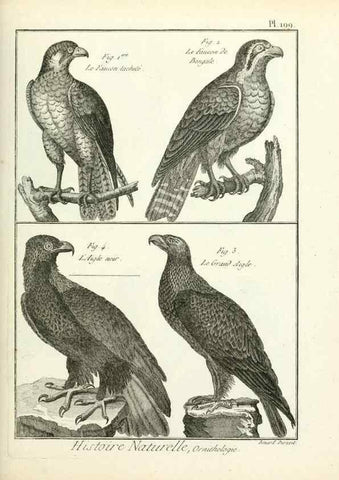 Reproducción/Reproduction 7850777370: Tableau encyclopédique et méthodique des trois règnes de la nature.. A Paris :Chez Mme. veuve Agasse ...,1823.