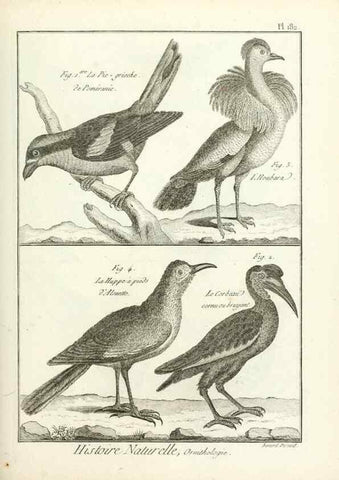 Reproducción/Reproduction 7850754930: Tableau encyclopédique et méthodique des trois règnes de la nature.. A Paris :Chez Mme. veuve Agasse ...,1823.