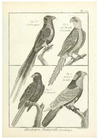 Reproducción/Reproduction 7850808170: Tableau encyclopédique et méthodique des trois règnes de la nature.. A Paris :Chez Mme. veuve Agasse ...,1823.