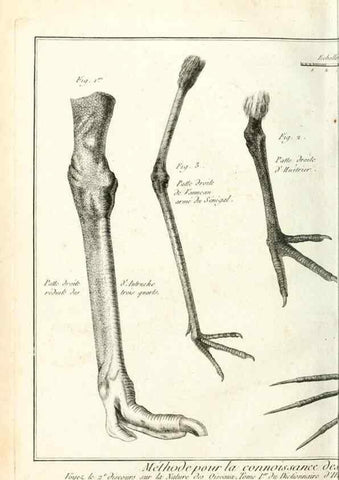Reproducción/Reproduction 7850867544: Tableau encyclopédique et méthodique des trois règnes de la nature.. A Paris :Chez Mme. veuve Agasse ...,1823.