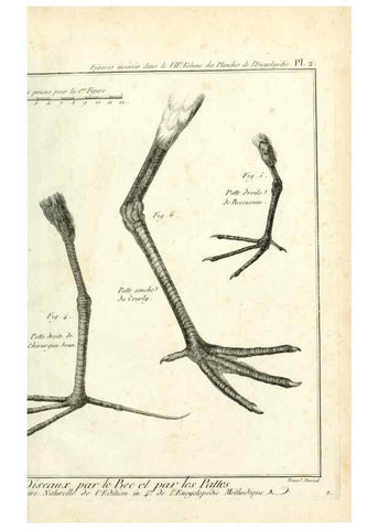 Reproducción/Reproduction 7850868688: Tableau encyclopédique et méthodique des trois règnes de la nature.. A Paris :Chez Mme. veuve Agasse ...,1823.