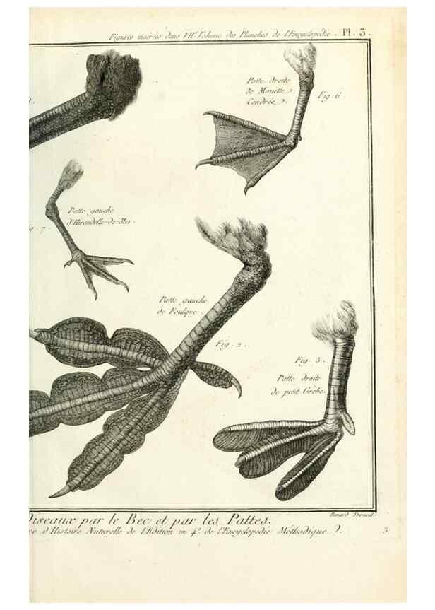 Reproducción/Reproduction 7850871088: Tableau encyclopédique et méthodique des trois règnes de la nature.. A Paris :Chez Mme. veuve Agasse ...,1823.