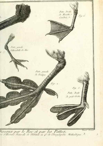 Reproducción/Reproduction 7850871088: Tableau encyclopédique et méthodique des trois règnes de la nature.. A Paris :Chez Mme. veuve Agasse ...,1823.