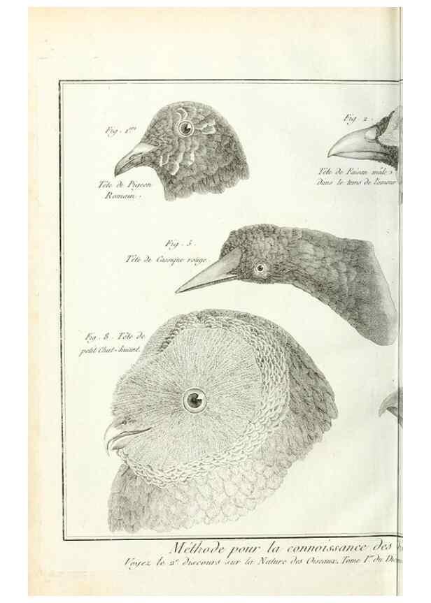 Reproducción/Reproduction 7850874490: Tableau encyclopédique et méthodique des trois règnes de la nature.. A Paris :Chez Mme. veuve Agasse ...,1823.