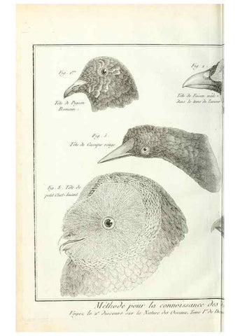 Reproducción/Reproduction 7850874490: Tableau encyclopédique et méthodique des trois règnes de la nature.. A Paris :Chez Mme. veuve Agasse ...,1823.