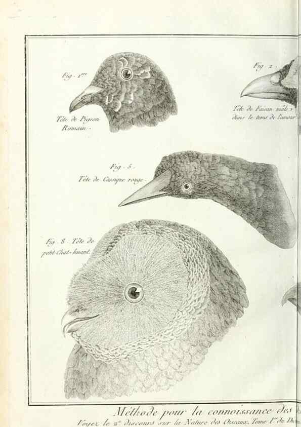Reproducción/Reproduction 7850874490: Tableau encyclopédique et méthodique des trois règnes de la nature.. A Paris :Chez Mme. veuve Agasse ...,1823.