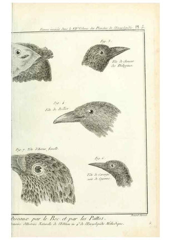 Reproducción/Reproduction 7850875828: Tableau encyclopédique et méthodique des trois règnes de la nature.. A Paris :Chez Mme. veuve Agasse ...,1823.