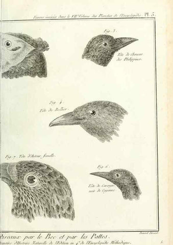 Reproducción/Reproduction 7850875828: Tableau encyclopédique et méthodique des trois règnes de la nature.. A Paris :Chez Mme. veuve Agasse ...,1823.