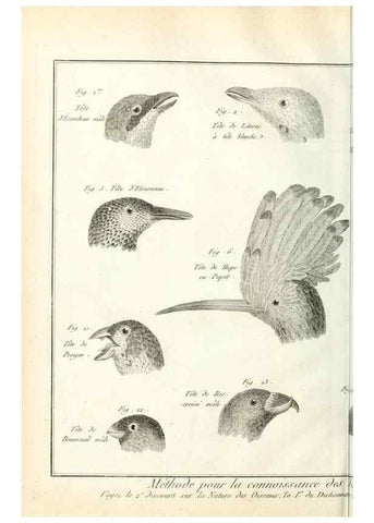 Reproducción/Reproduction 7850877280: Tableau encyclopédique et méthodique des trois règnes de la nature.. A Paris :Chez Mme. veuve Agasse ...,1823.