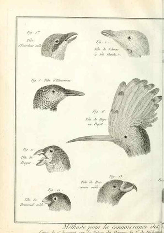 Reproducción/Reproduction 7850877280: Tableau encyclopédique et méthodique des trois règnes de la nature.. A Paris :Chez Mme. veuve Agasse ...,1823.