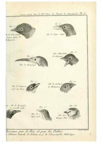 Reproducción/Reproduction 7850878306: Tableau encyclopédique et méthodique des trois règnes de la nature.. A Paris :Chez Mme. veuve Agasse ...,1823.