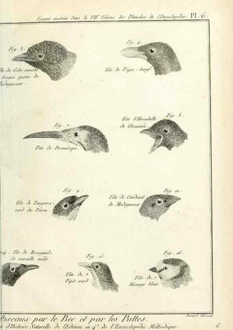 Reproducción/Reproduction 7850878306: Tableau encyclopédique et méthodique des trois règnes de la nature.. A Paris :Chez Mme. veuve Agasse ...,1823.