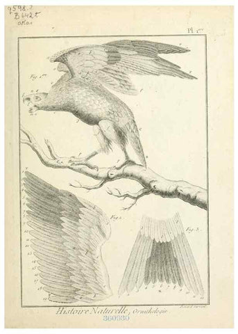 Reproducción/Reproduction 7850861880: Tableau encyclopédique et méthodique des trois règnes de la nature.. A Paris :Chez Mme. veuve Agasse ...,1823.