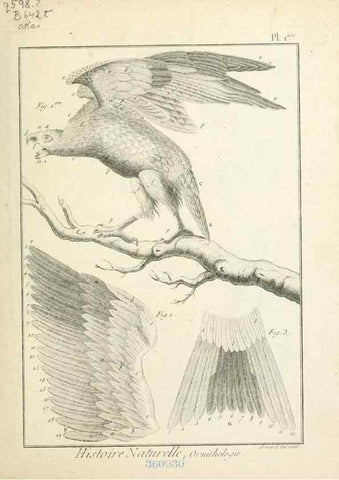 Reproducción/Reproduction 7850861880: Tableau encyclopédique et méthodique des trois règnes de la nature.. A Paris :Chez Mme. veuve Agasse ...,1823.