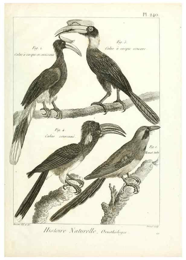 Reproducción/Reproduction 7850831606: Tableau encyclopédique et méthodique des trois règnes de la nature.. A Paris :Chez Mme. veuve Agasse ...,1823.