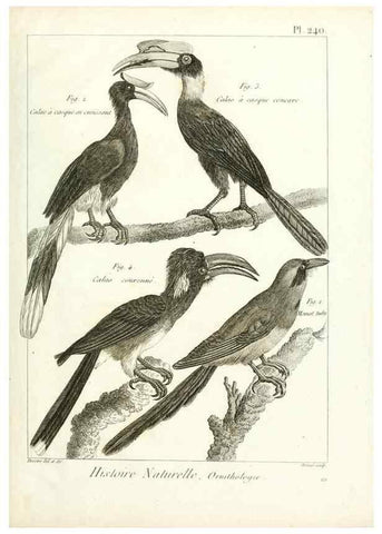 Reproducción/Reproduction 7850831606: Tableau encyclopédique et méthodique des trois règnes de la nature.. A Paris :Chez Mme. veuve Agasse ...,1823.
