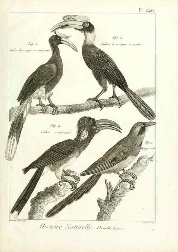 Reproducción/Reproduction 7850831606: Tableau encyclopédique et méthodique des trois règnes de la nature.. A Paris :Chez Mme. veuve Agasse ...,1823.