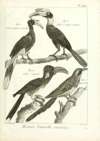 Reproducción/Reproduction 7850831606: Tableau encyclopédique et méthodique des trois règnes de la nature.. A Paris :Chez Mme. veuve Agasse ...,1823.