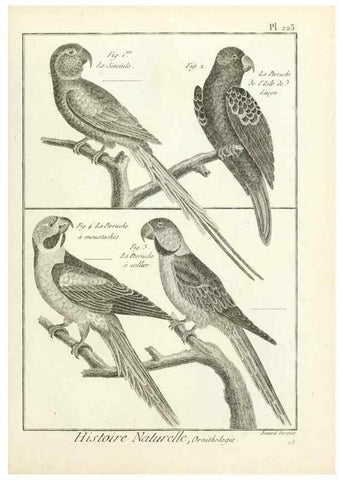 Reproducción/Reproduction 7850809446: Tableau encyclopédique et méthodique des trois règnes de la nature.. A Paris :Chez Mme. veuve Agasse ...,1823.